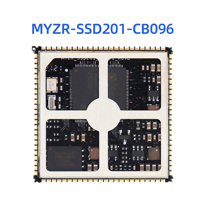 SSD201-CB096-1.jpg